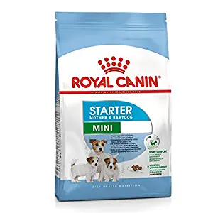 Royal Canin Baby Pellet Dog Food Mini Starter, Meat Flavour, 1 KG