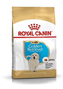 Royal Canin Golden Retriver Junior Pellet Dog Food, Meat Flavor, 3 Kg